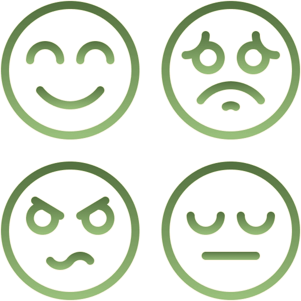 Icon2